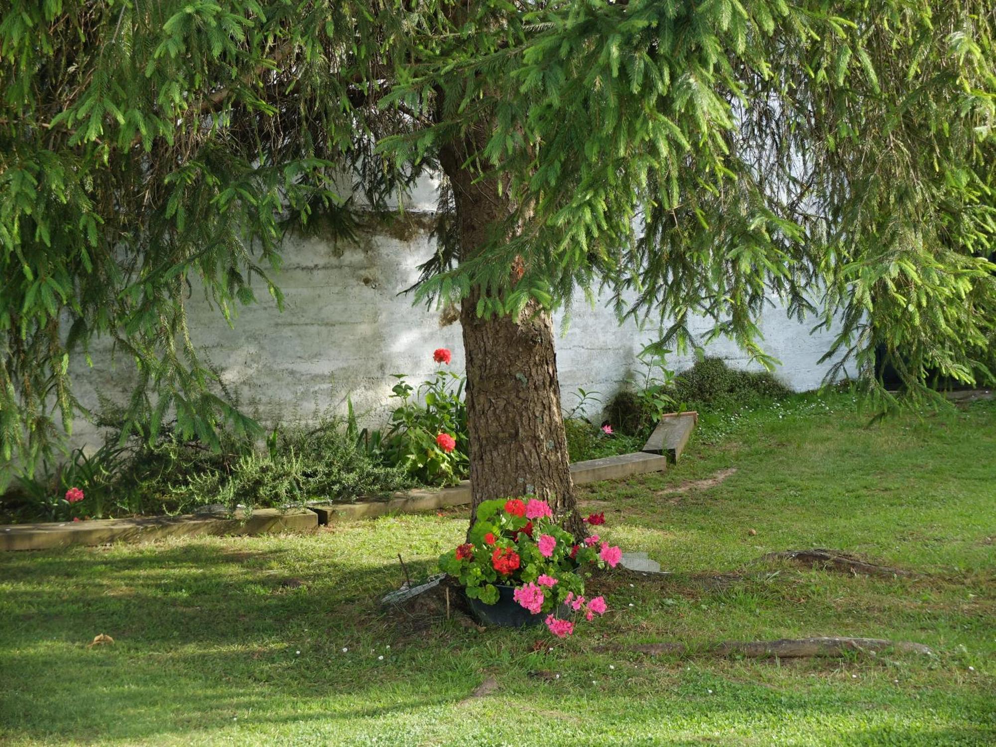 Lugar De Cal Lägenhet Fene Exteriör bild